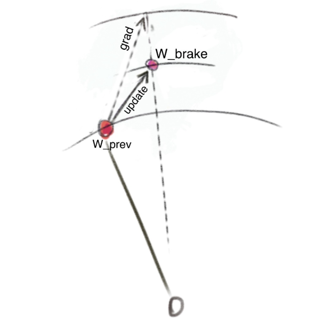 Clean radial brake definition: apply the update, then rescale to an interpolated radius.