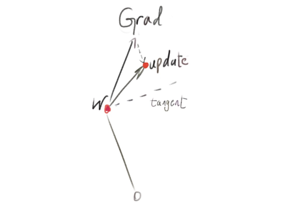 Radial brake dampens the radial component of the update vector. Not shown: 2nd order correction.
